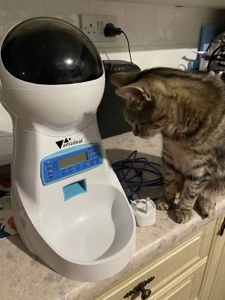 Photo of free Automatic pet feeder (CO13) #1