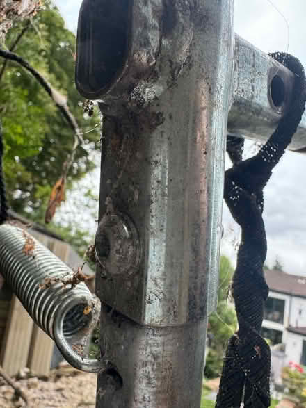 Photo of free 12ft trampoline (Anerley SE20) #4