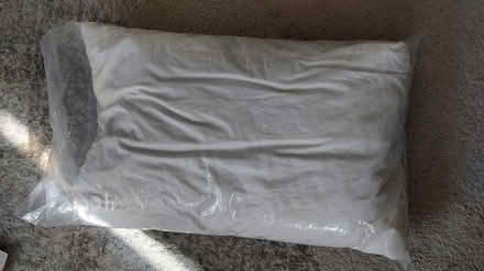 Photo of free Goose feather and down pillow (Denmark Hill) #1