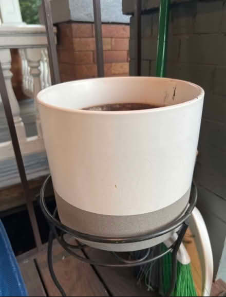 Photo of free Outdoor plant and metal stand (Park view\Petworth) #1