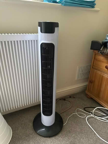 Photo of free Tall fan (Harbourne) #1