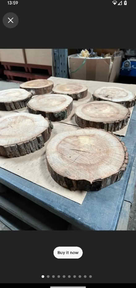 Photo of Tree stumps/ log slices (Ringmer) #1