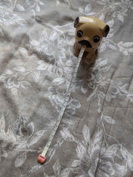 Photo of free Dog Tape Measure (RH14) #2