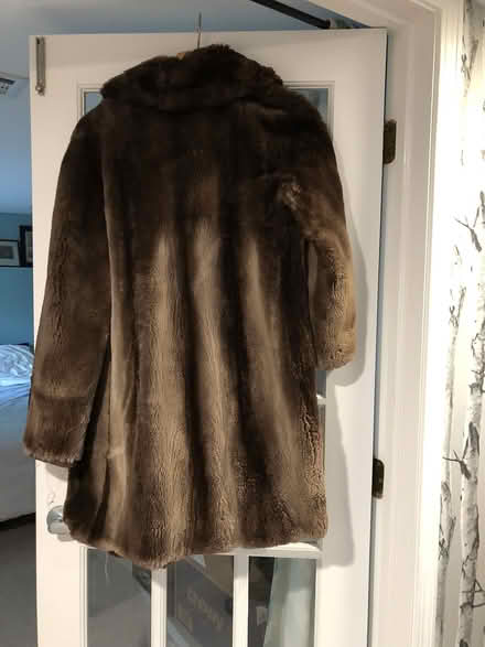 Photo of free mink fur coat (Burlington, New North End) #1