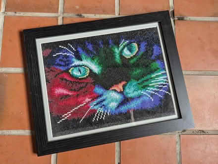 Photo of free Funky cat picture (Rawmarsh, S62) #1