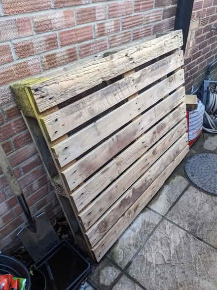 Photo of free Pallet (Caversham RG4) #1