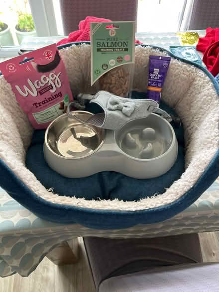Photo of free Puppy starter pack (Thrapston) #1