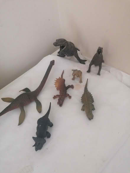 Photo of free Dinosaurs (Upper Parkstone BH14) #1