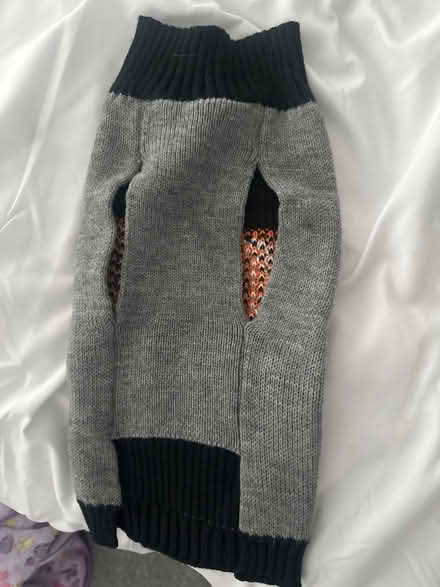 Photo of free Small dog jumpers (G78) #3