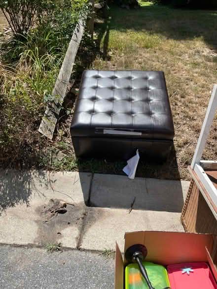 Photo of free chair, ottoman, bag of toys (Silver Spring) #2