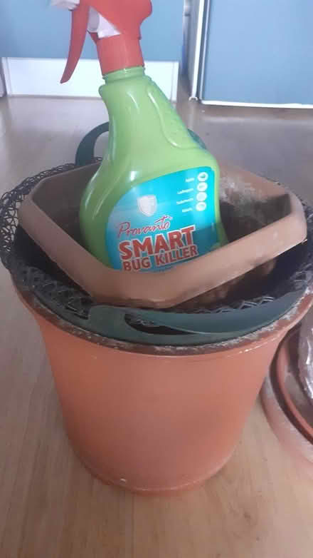 Photo of free Garden bits (Shadwell E1) #2