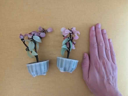 Photo of free decorative flowers (DA6) #2