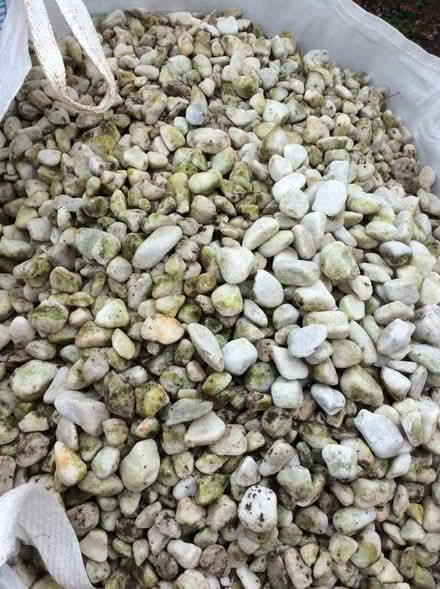 Photo of free White pebbles, large (Wistaston CW2) #1