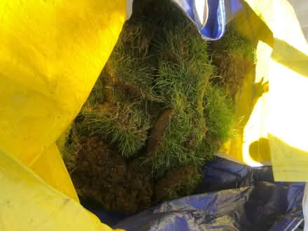 Photo of free Dug up turf (Oxfordshire OX4) #1