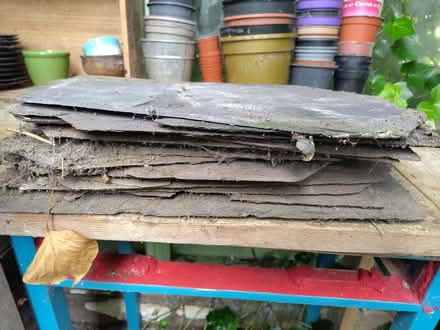 Photo of free Slate tiles (Dyke Road area BN1) #1