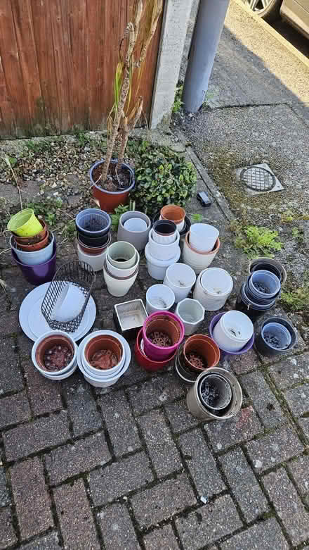 Photo of free Ceramic plant pots, plastic pots and a plate or two! (Cheshunt EN8) #1