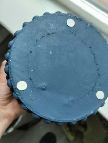 Photo of free Plant pot (Dalry EH11) #4