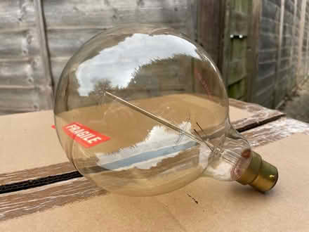 Photo of free Lamp bulb (SM5) #1