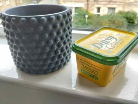 Photo of free Plant pot (Dalry EH11) #1
