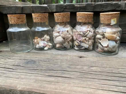 Photo of free Corked Jars w shells (Beverly Hills/Hillcrest/48025) #1