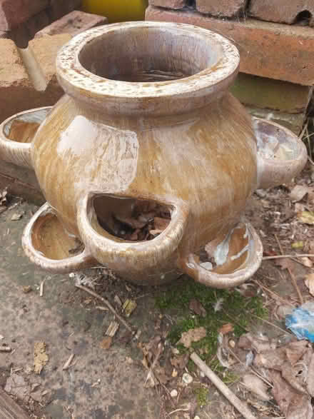 Photo of free Ceramic strawberry planter (Ringmer BN8) #1
