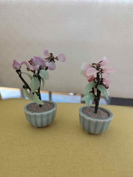 Photo of free decorative flowers (DA6) #1