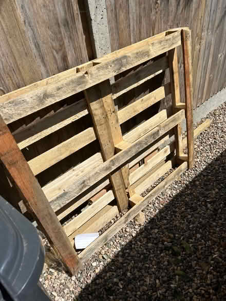 Photo of free 1x wooden pallet (CT5) #1