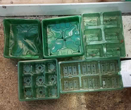 Photo of free 17 Seed trays (St Neots PE19) #1