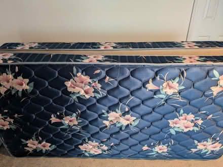 Photo of free twin size mattress/box springs set (Lawrenceville (near CHHS)) #1