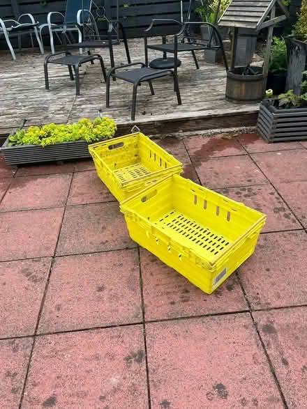 Photo of free 2 yellow crates (Whitehills G75) #1