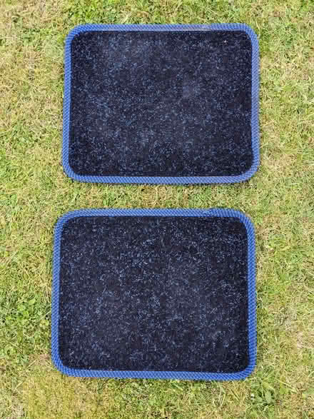 Photo of free car mats, rear x 2 (batchworth HA6) #2