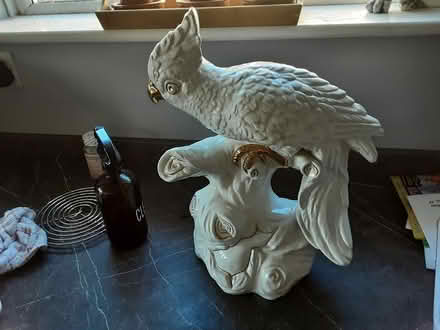 Photo of free Large (BH23 3JZ) #1