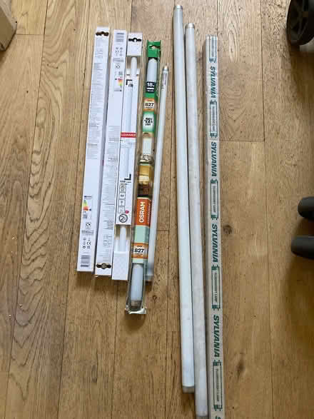 Photo of free Selection of bulbs (W4) #1