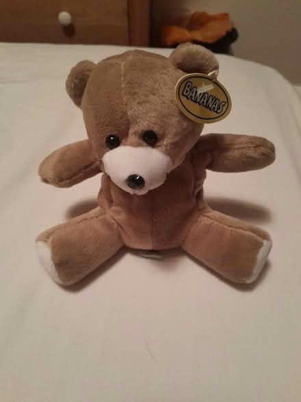 Photo of free Small teddy (Welwyn Garden city) #1