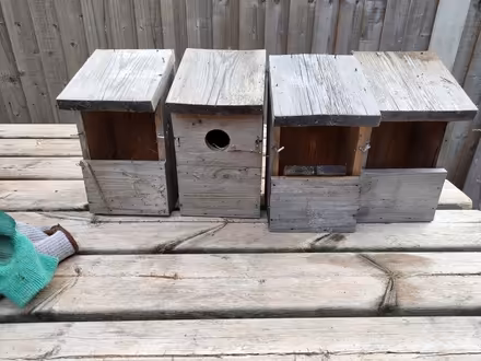 Photo of free 4x bird boxes (Chelmsford CM1) #1