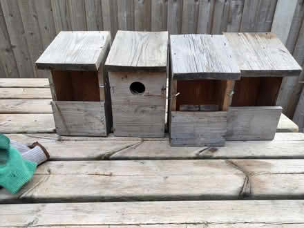 Photo of free 4x bird boxes (Chelmsford CM1) #1