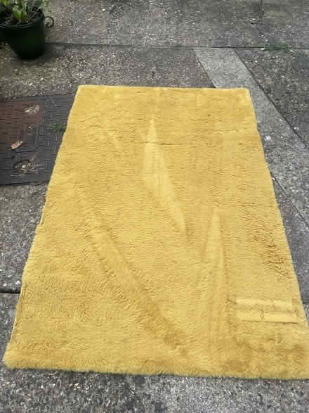 Photo of free Large mustard rug 100cm x 150cm (Garston WD25) #1