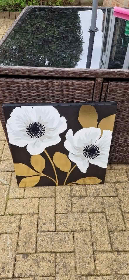 Photo of free Picture (NG6 Basford) #1