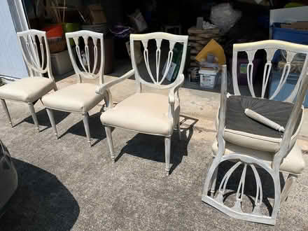 Photo of free Five dining chairs (Rio and 29) #1