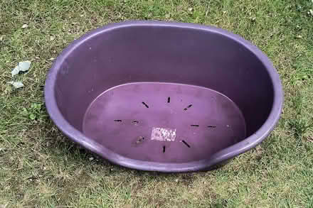 Photo of free Large Pet basket (Liss GU33) #1