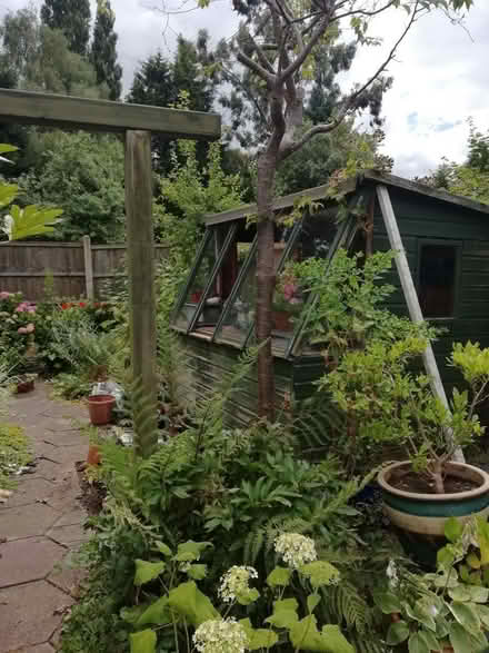 Photo of free Potting Shed 6' x 8' - You Dismantle & Collect (Hall Green B28) #3