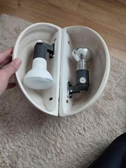 Photo of free Wall lamps (Frechville) #2