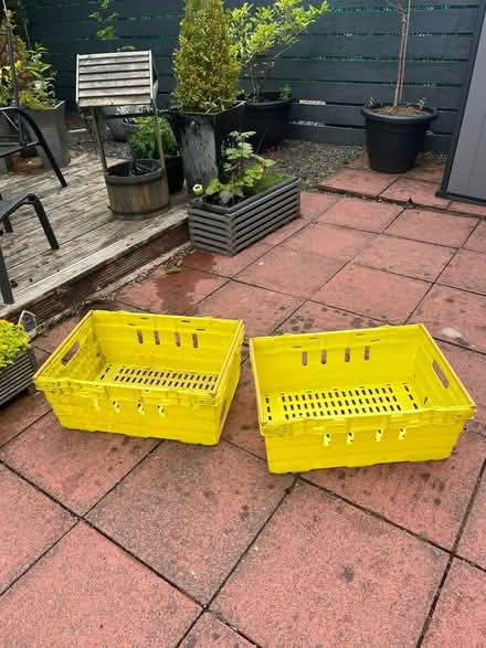 Photo of free 2 yellow crates (East Kilbride) #1