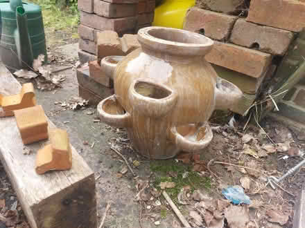 Photo of free Ceramic strawberry planter (Ringmer BN8) #2