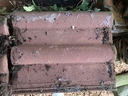 Photo of free Roof Tiles (Newport HU15) #1