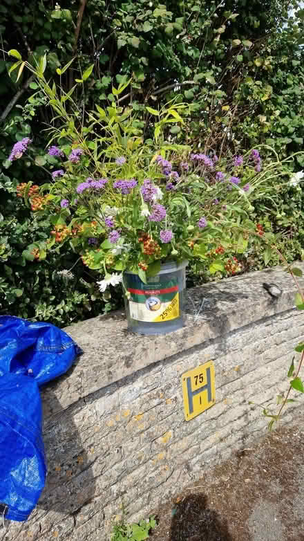 Photo of free Cut flowers (Upper Weston) #1