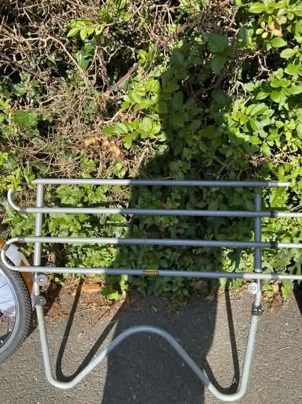 Photo of free dog guard (Westham BN24) #1
