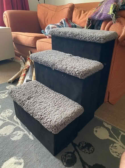Photo of free Steps for cat/small dog (New Marston OX3) #1