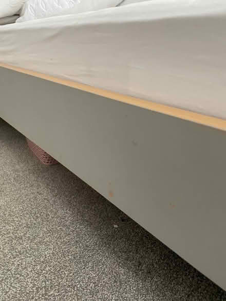 Photo of free Bed (Nunthorpe TS7) #1