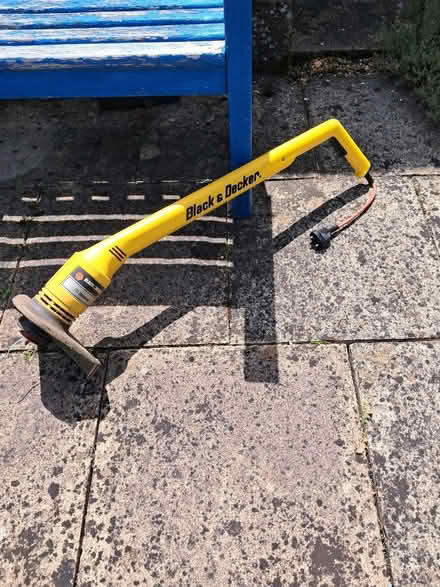 Photo of free Strimmer (Causeway End MK43) #1